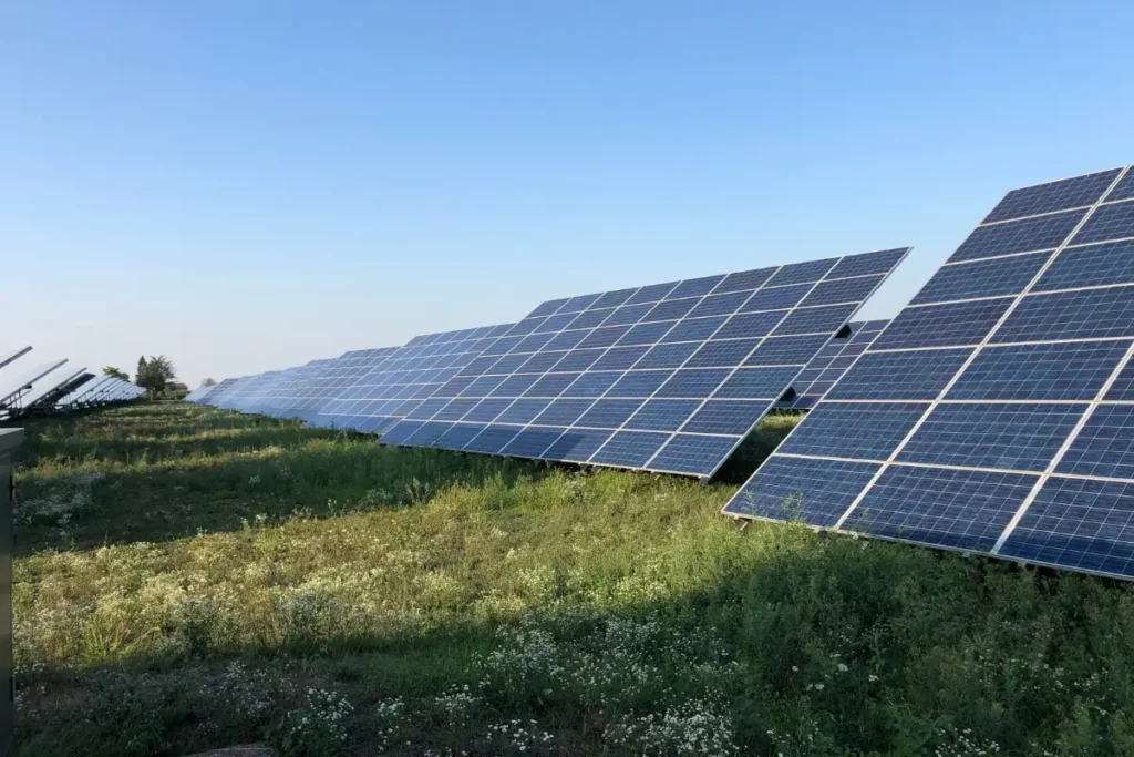 Fotovoltaico per aziende agricole